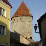 DSC07806.JPG