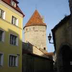 DSC07807.JPG
