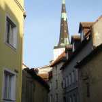 DSC07808.JPG