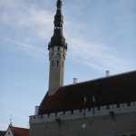 DSC07825.JPG