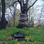DSC07840.JPG