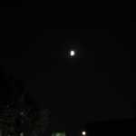 IMG_0780.JPG