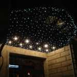 DSC06861.JPG