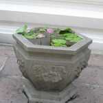 IMG_1720.JPG
