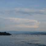 DSC07009.JPG
