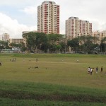 Cricket anyone? :)