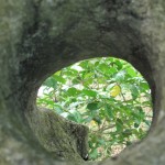 Looking through a hole in the rock...it's just like looking through my ear...