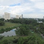 ...luvly greenery...