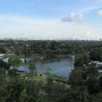 ...looking over at the Japanese Gardens...