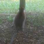 Turn around you cheeky fella...
