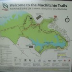 The MacRitchie Trails...in addition to the Tree Top walk. They ranged from 3km (about an hr) to 11km (about 4hrs). Ergh which one do you think I chose? :)
