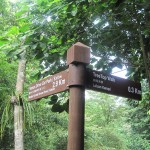 2.9km in - nice! Then again, I've got another 0.3km to the start of the tree top walk, and then a walk around in a loop to return here and back to the Venus Car Park...nice!