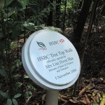 The Tree Top Walk was officially opened on 5th November 2004.