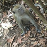 They always seem quite inquisitive about what's happening around them...