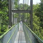 The length of the walkway is 250m, and it's highest point is 25m up :) So you better not be afraid of heights!