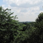 Amazing view from the top!