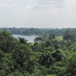I was in awe from being this high up in the forest - fantastic views!