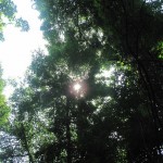 Looking up at the skies...