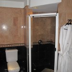 The shower and toilet