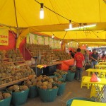 The length of the Durian diner!