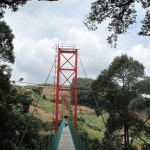 Looking across the bridge