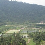 Agriculture farming around the area
