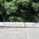 Henderson Waves