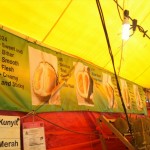 The Durian Varieties...
