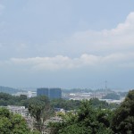 View from the Top of the Terrace Gardens