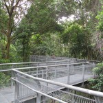 The Winding Walk