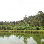 In the middle of no-where!