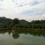 Amazing landscape around the restaurant