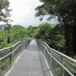 The long straight path...must have been built by the Romans!