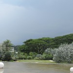At Hort Park