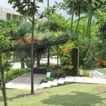 Nice Garden Scenary