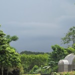 Looking towards the storm clouds!