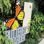 The nice Butterfly Garden - but it was closed!