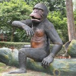 Ooh ooh ooh ooh (sound of a gorilla that is!)