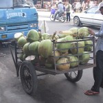 Coconut Cargo