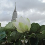 Lotus Flower