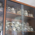 The Skulls of Victims