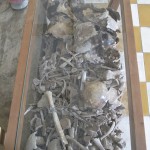 More Human Remains