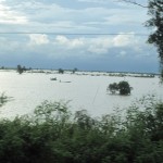 More water!
