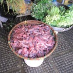 Ergh...frog anyone? Yummy!