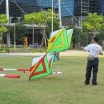 Oh this looks like a nice kite!
