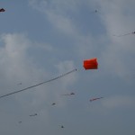 The Big Kites in the Skies