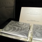 Very nicely presented and delivered!