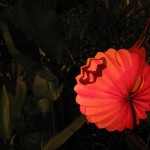 Mid-Autumn Festival & Lanteens - Magic Combination!