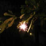 Now the sparklers come out! Yay!
