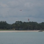Changi airport is located just behind the woodland